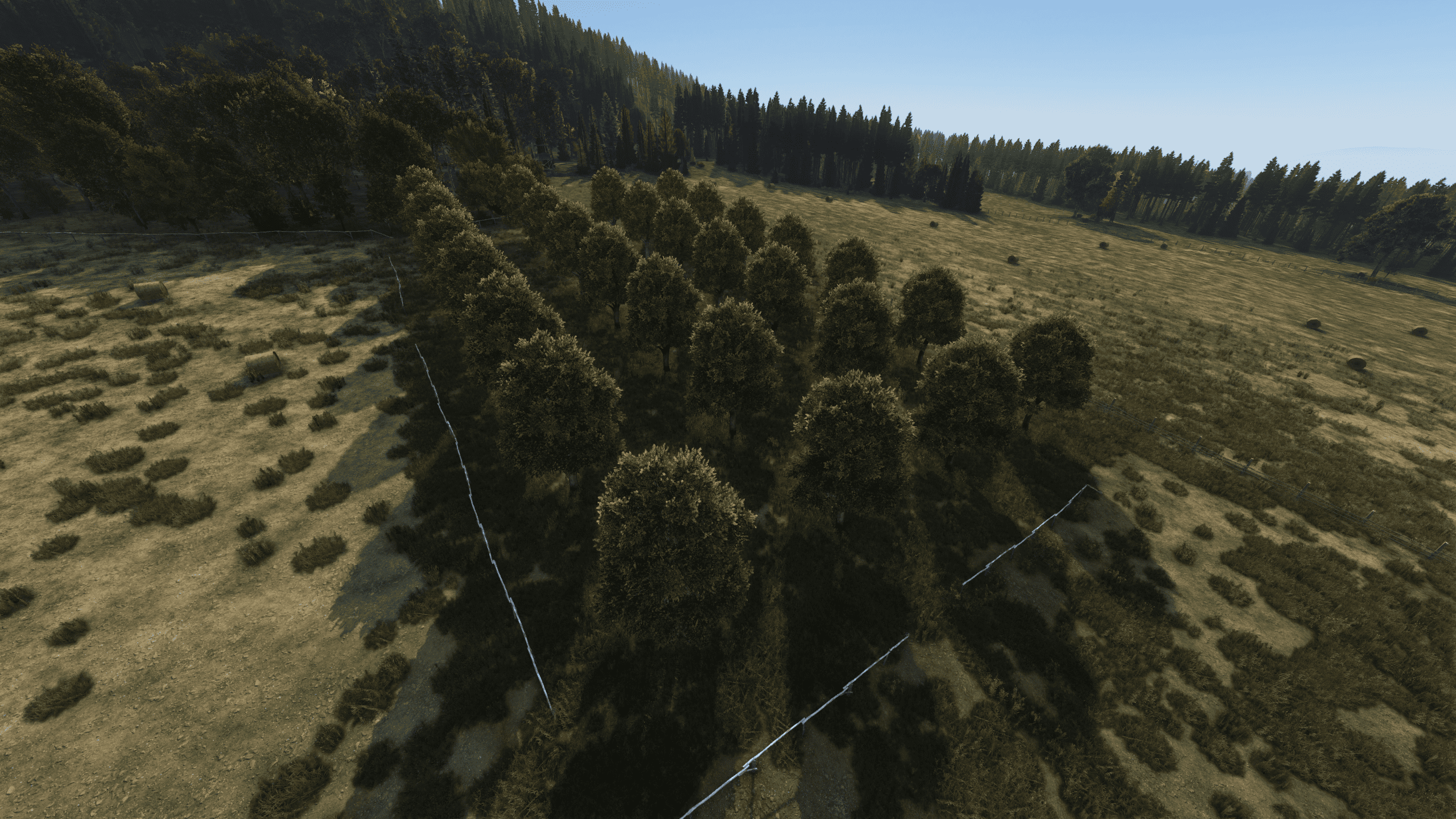 Сливы — Новая Петровка